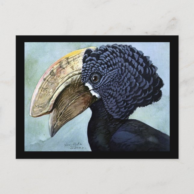 Postal Aves artísticas abisinas de Chicago postales-antig (Anverso)