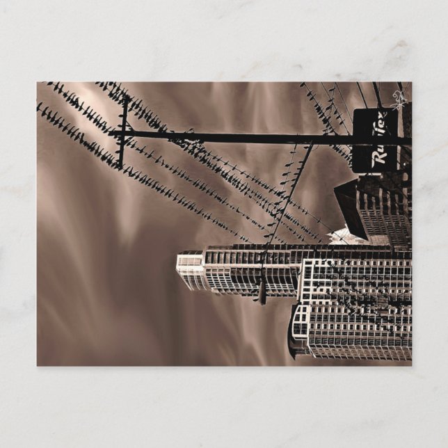 Postal Aves, Austin, Texas (Anverso)