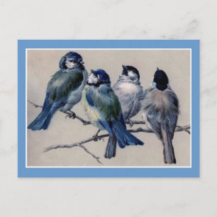 Postal Aves azules en una rama