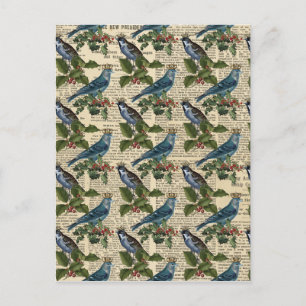 Postal Aves azules y Navidades Holly Berries