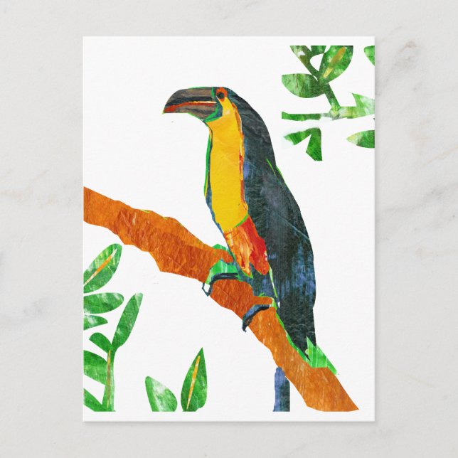 Postal Aves coloridas Toucan (Anverso)