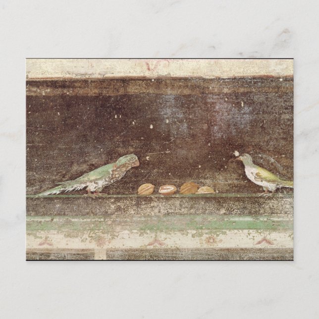 Postal Aves comiendo nueces (Anverso)