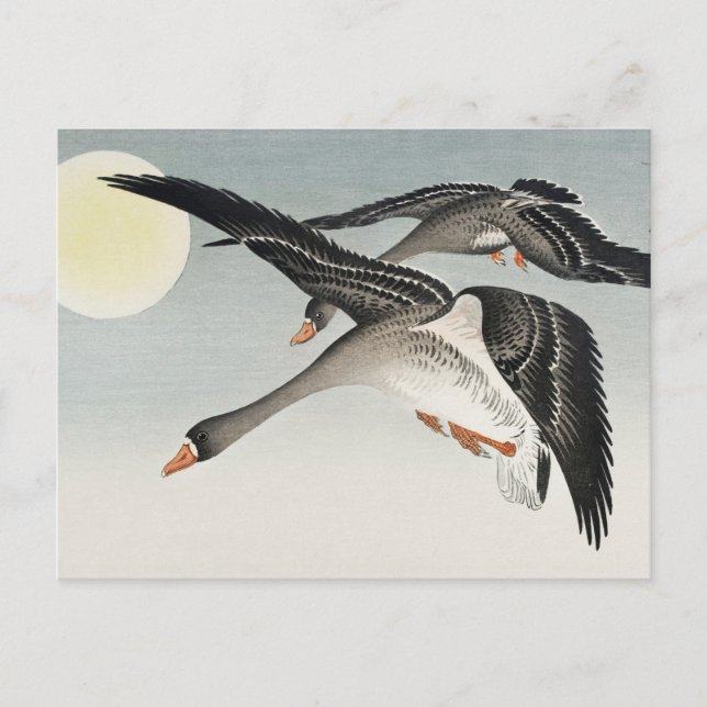 Postal Aves con pintura de luna llena de Ohara Koson (Anverso)
