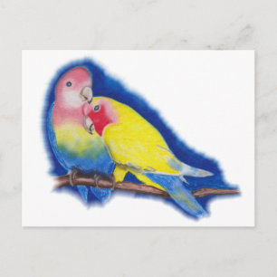 Postal Aves de amor