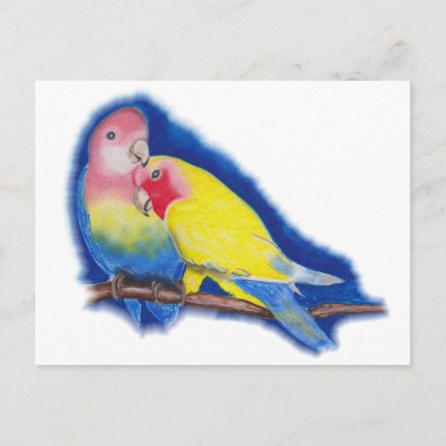 Postal Aves de amor (Anverso)