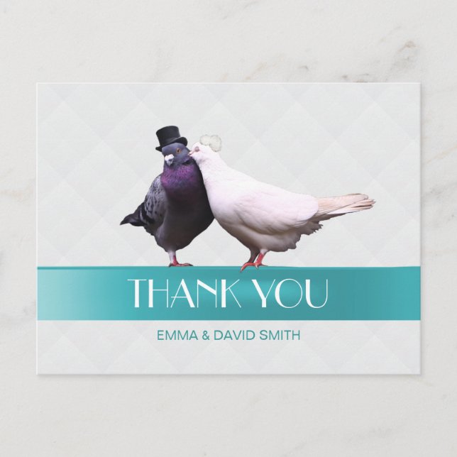 Postal Aves de amor modernas Cinta azul gracias (Anverso)