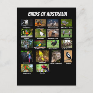 Postal Aves de Australia