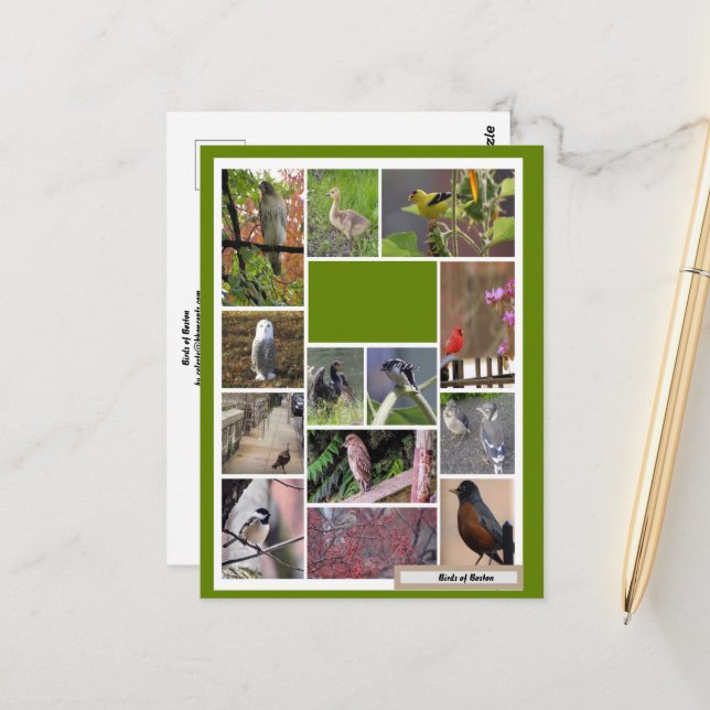 Postal Aves de Boston (Anverso/Reverso In Situ)