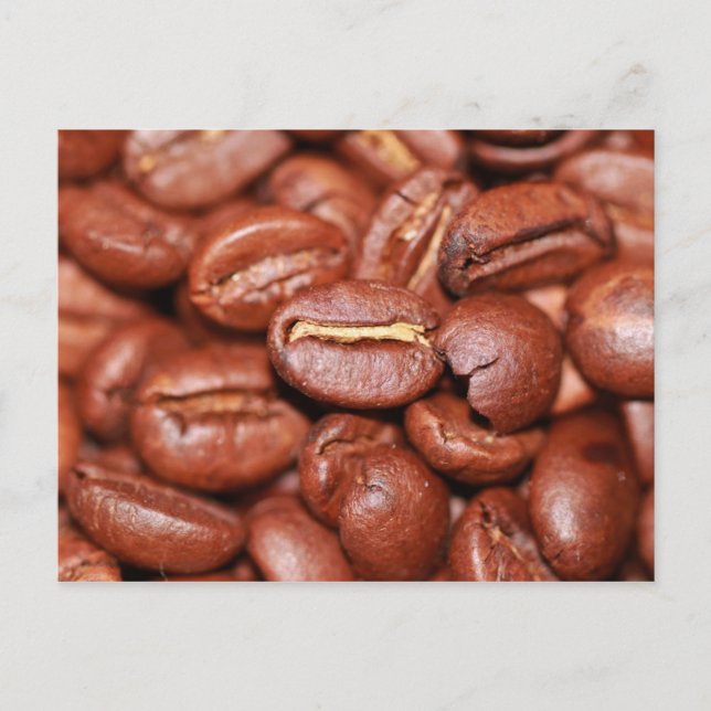 Postal Aves de café tostadas (Anverso)