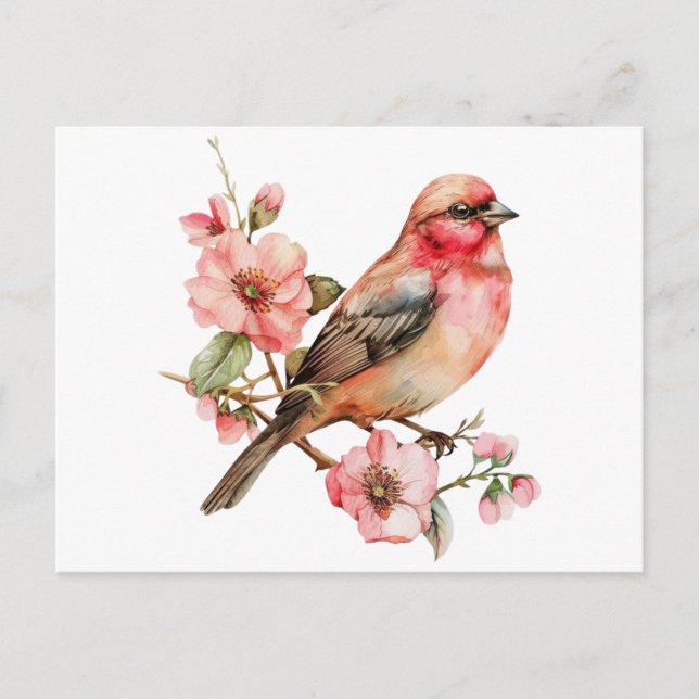 Postal Aves de cosecha y flor (Anverso)