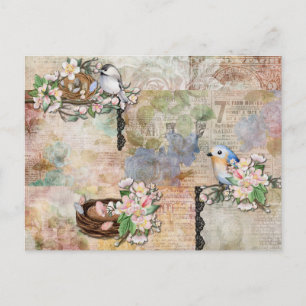 Postal Aves de época y Collage de la efemera
