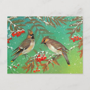Postal Aves de invierno