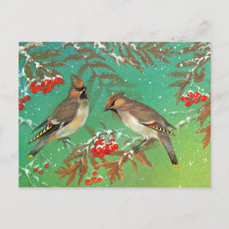 Postal Aves de invierno