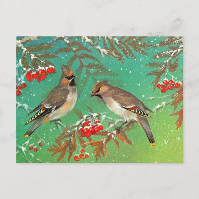 Postal Aves de invierno (Anverso)