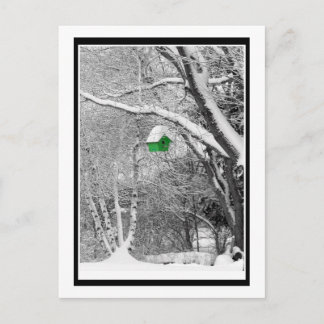 Postal Aves de invierno