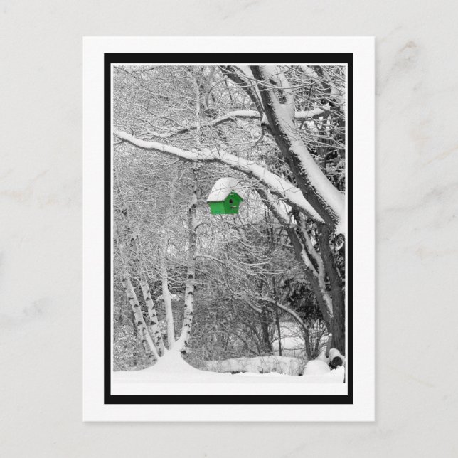 Postal Aves de invierno (Anverso)