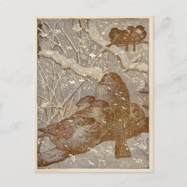 Postal Aves de Invierno (Anverso)