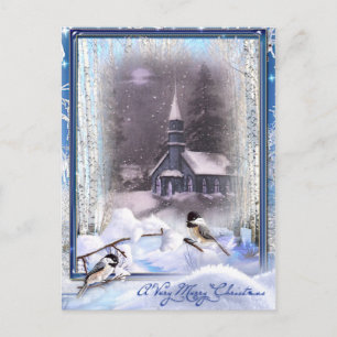 Postal Aves de Invierno