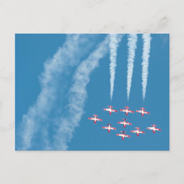 Postal Aves de nieve de Canadá (Anverso)