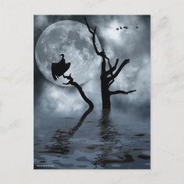 Postal Aves de noche