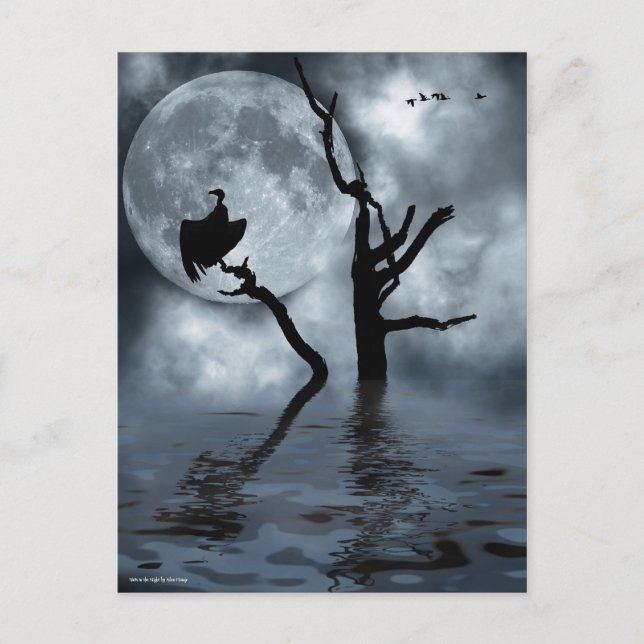 Postal Aves de noche (Anverso)