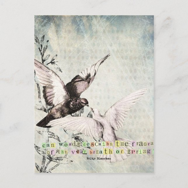 Postal Aves de primavera (Anverso)