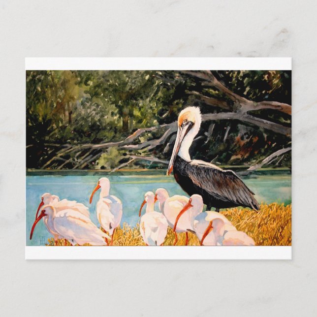 Postal Aves de una pluma (Anverso)