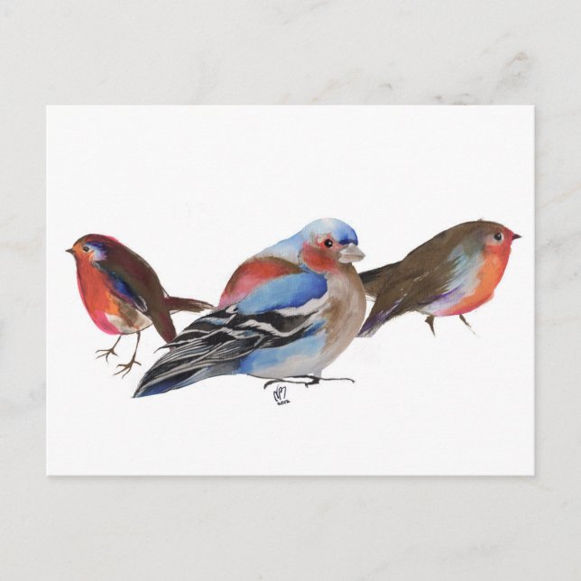 Postal Aves de una pluma en 2011 (Anverso)