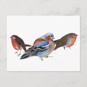 Postal Aves de una pluma en 2011