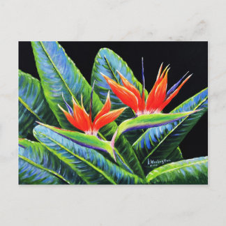 Postal Aves del paraíso