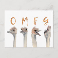 Aves divertidas de avestruz OMFG