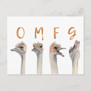 Postal Aves divertidas de avestruz OMFG