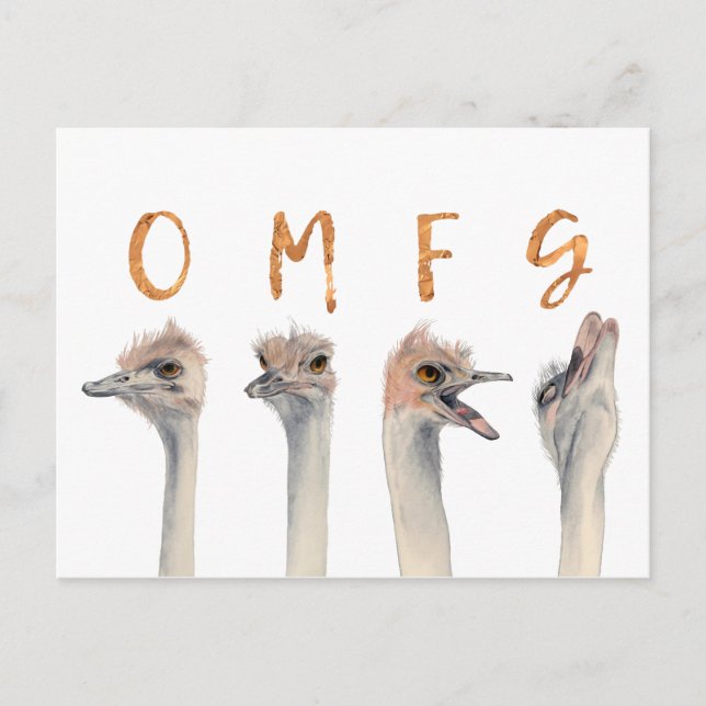 Postal Aves divertidas de avestruz OMFG (Anverso)