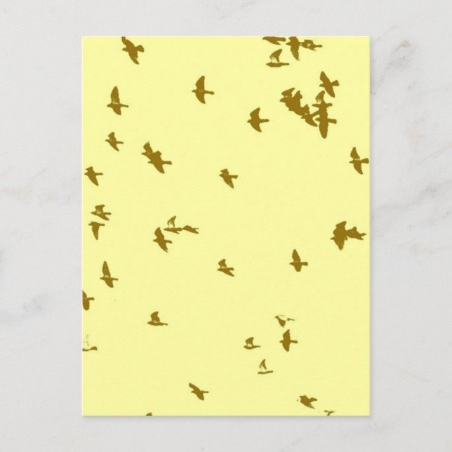 Postal Aves en el cielo (Anverso)