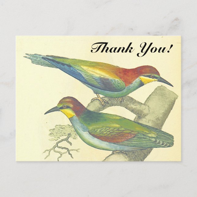 Postal Aves en ramas, estilo vintage, "¡Gracias!" (Anverso)