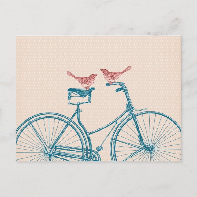 Postal Aves en una bicicleta (Anverso)