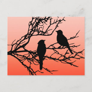 Postal Aves en una rama, negro contra Naranja de la puest