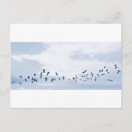 Postal Aves en Vuelo