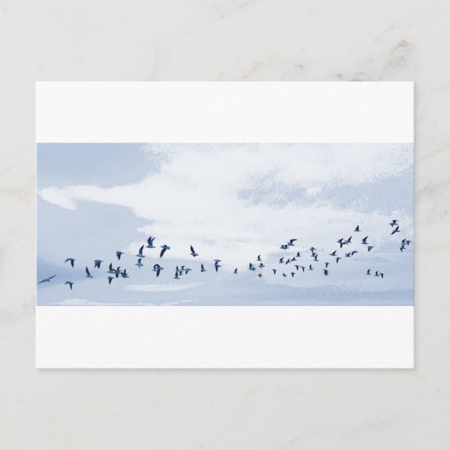 Postal Aves en Vuelo (Anverso)