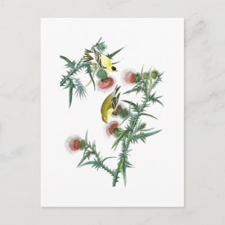 Postal Aves estadounidenses de Goldfinch John Audubon