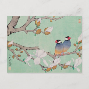 Postal Aves gemelas en las ramas