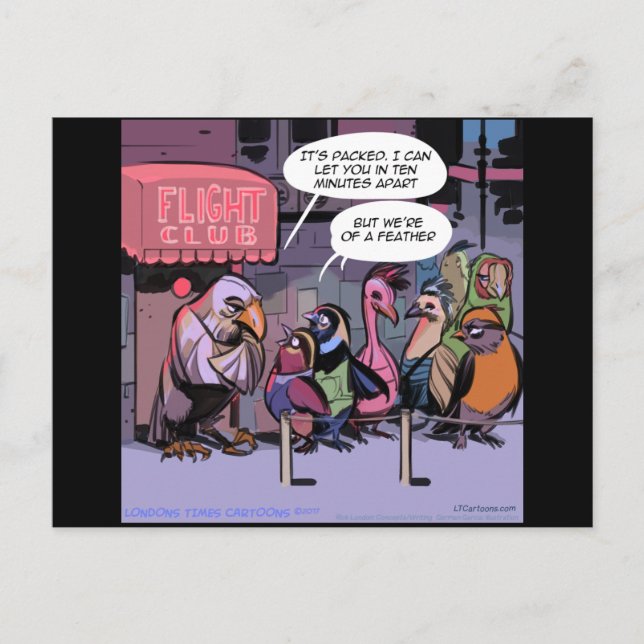 Postal Aves Graciosas De Una Pluma (Anverso)