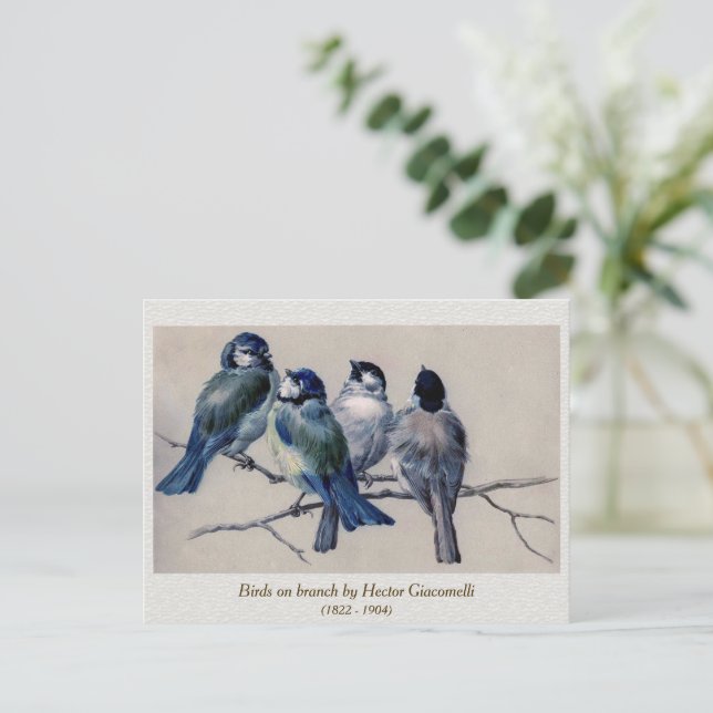 Postal Aves grises azules en una rama de Hector Giacomell (Anverso de pie)