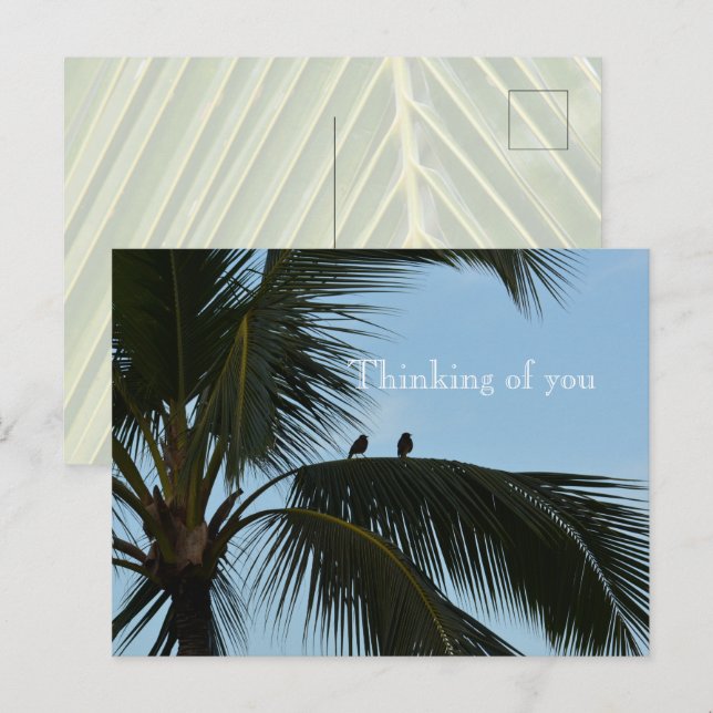 Postal Aves Kauai Hawaii en palmeras (Anverso / Reverso)