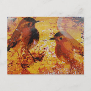 Postal Aves medios mixtos