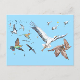 Postal Aves migratorias rastreando su Ilustracion de vuel