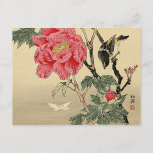 Postal Aves mirando una mariposa