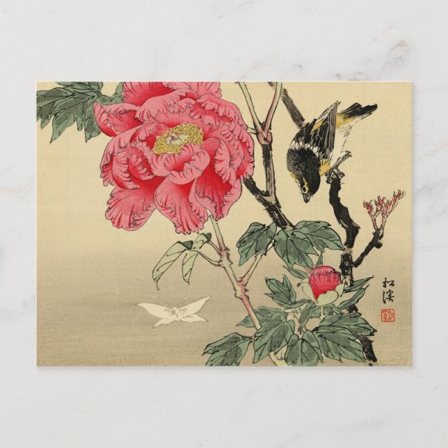 Postal Aves mirando una mariposa (Anverso)