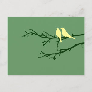 Postal aves modestas