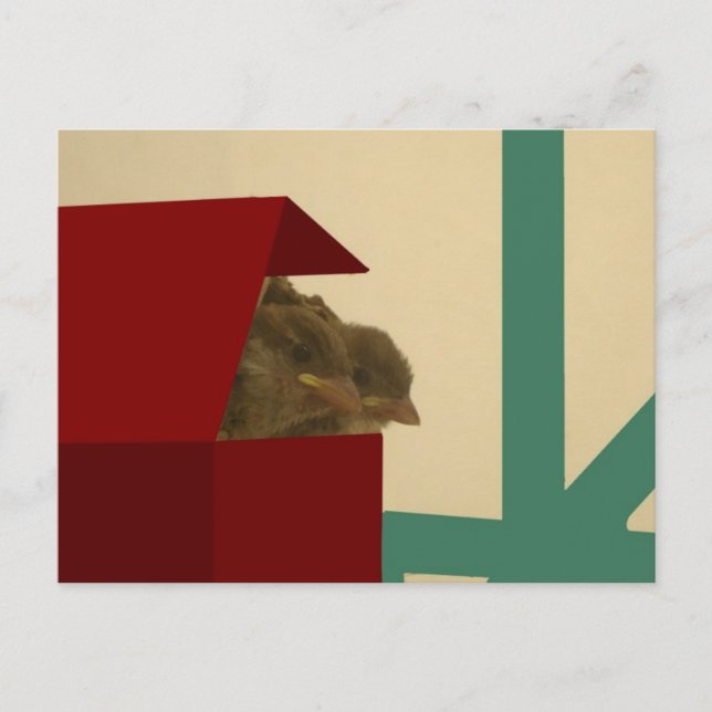 Postal Aves pequeñas (Anverso)